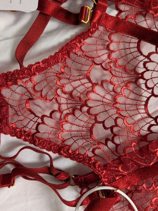 NWT Bordelle Sensu Balconnette Bra & Ouvert Brief Burnt Red size M - Picture 5 of 9